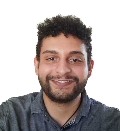 Amr Elseweifi