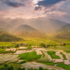 Terraced rice fields in a mountain valley.
