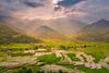 Terraced rice fields in a mountain valley.